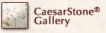 CaesarStone Gallery